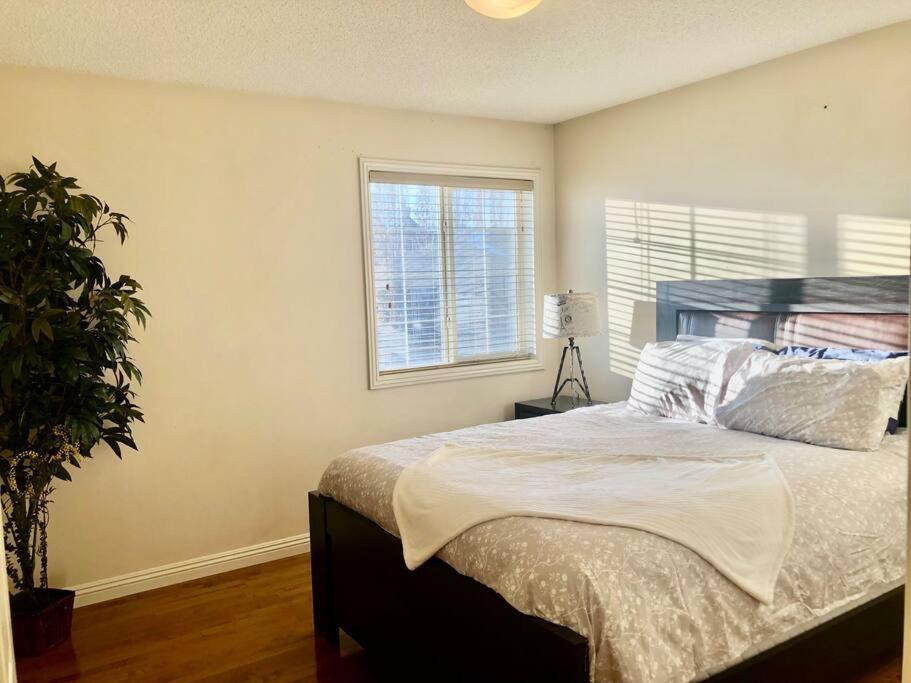 فيلا 2500 Sq House In Springbank Hill Bl 261818 YYC المظهر الخارجي الصورة